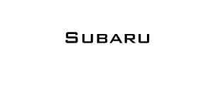 OEM Subaru Valve Cover Gaskets 06-14 WRX / 04-17 STI