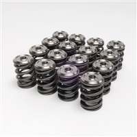 Skunk2 Alpha Valve Springs and Retainers FRS/BRZ